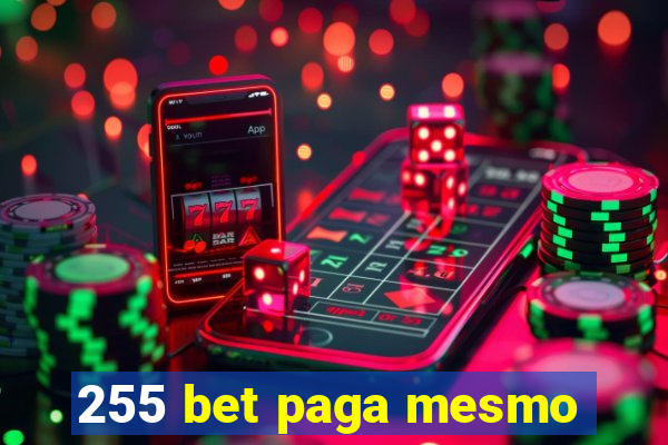 255 bet paga mesmo